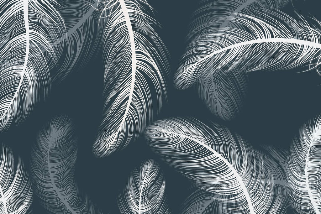 Delicate feathers dancing on dark background Delicate feathers dancing on dark background