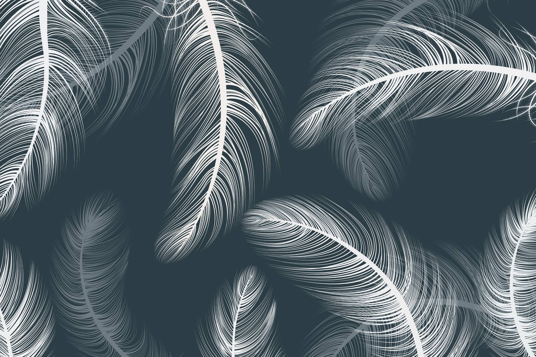 Delicate feathers dancing on dark background Delicate feathers dancing on dark background