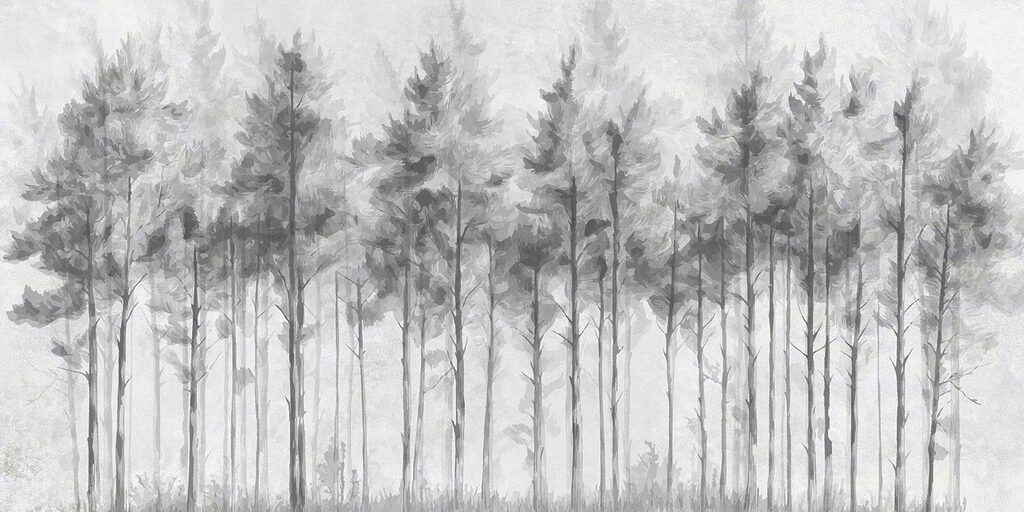 Groep bomen in een bos Groep bomen in een bos