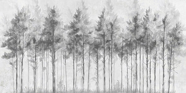 Groep bomen in een bos Groep bomen in een bos