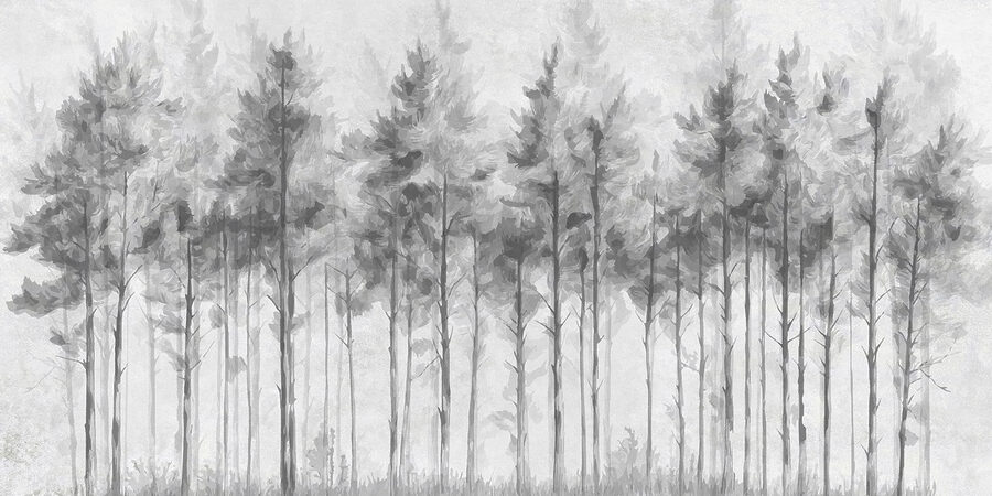 Groep bomen in een bos