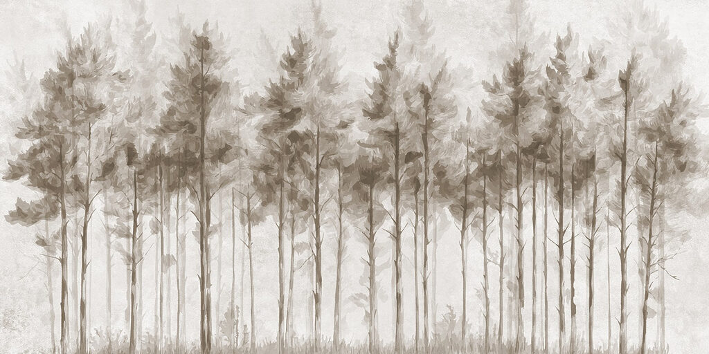 Groep bomen in een bos Groep bomen in een bos