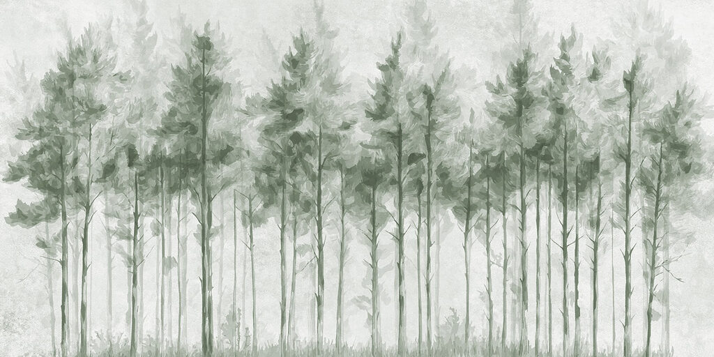 Groep bomen in een bos Groep bomen in een bos