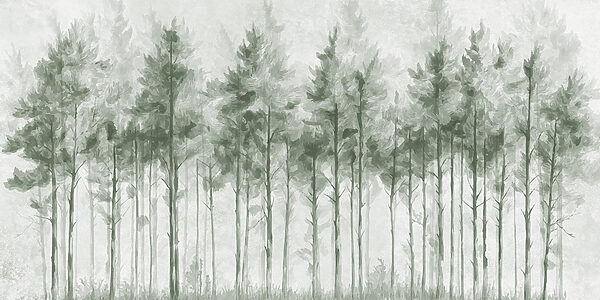 Groep bomen in een bos Groep bomen in een bos