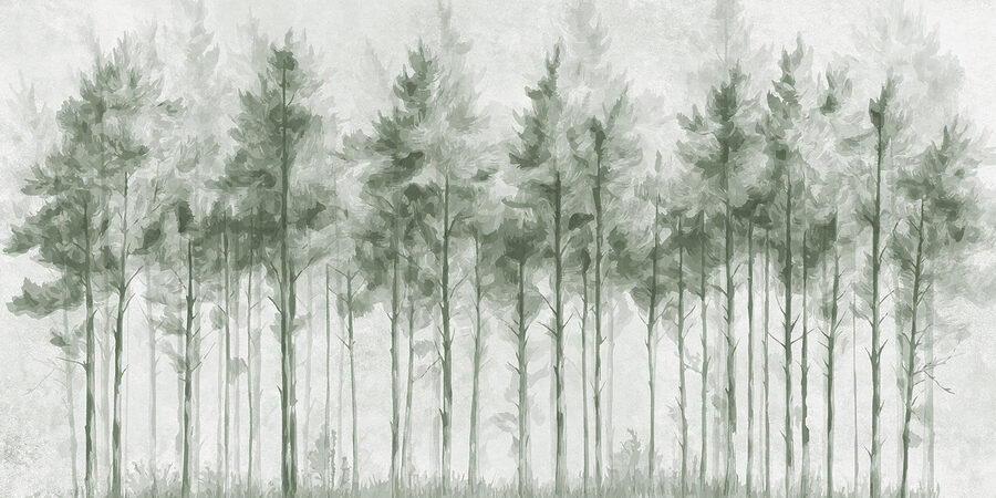 Groep bomen in een bos