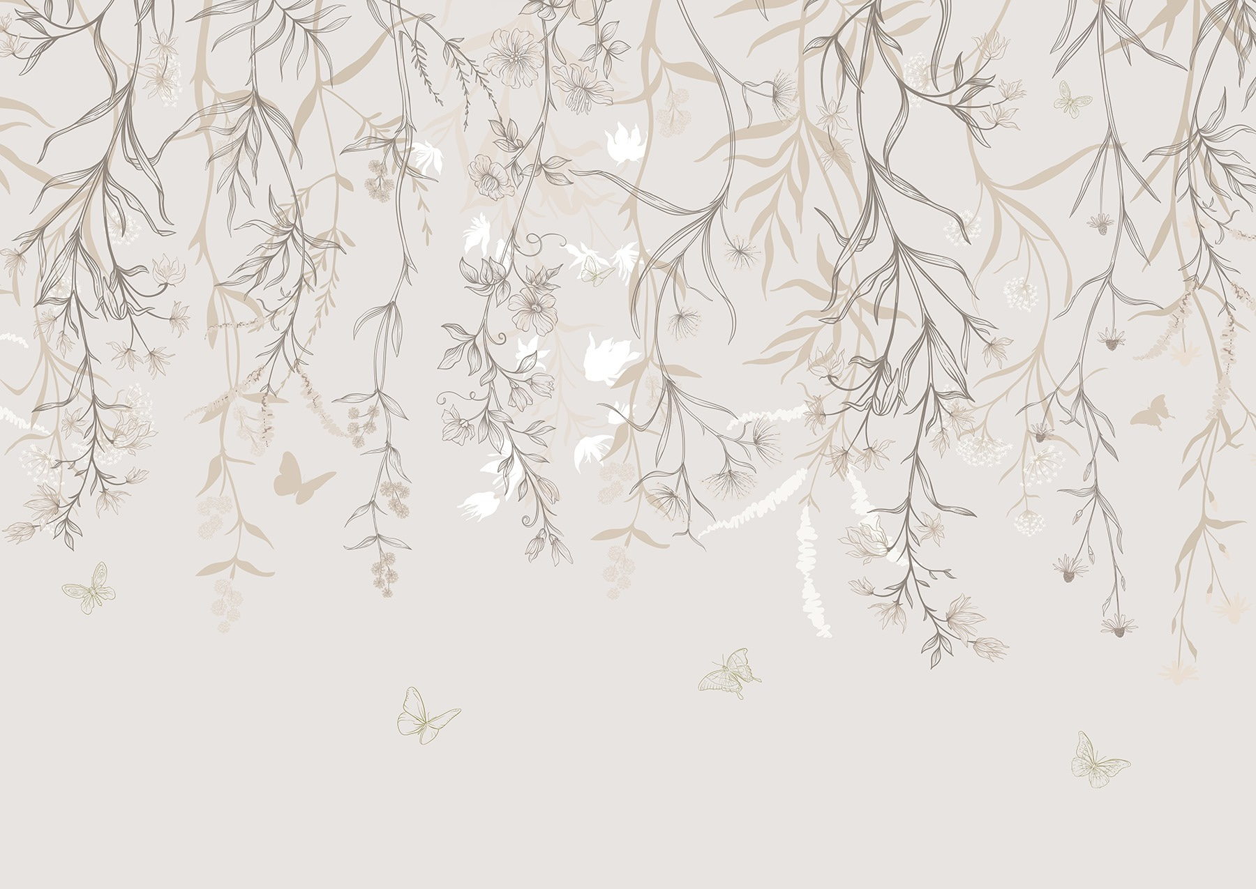 Delicate blooms cascade from above