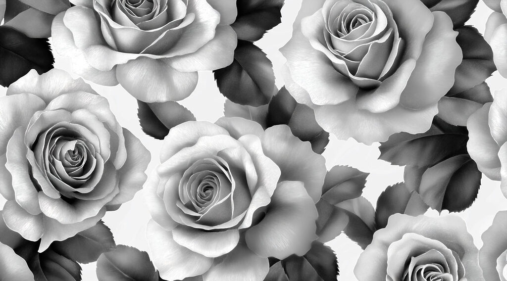 Groep rozen met bladeren Groep rozen met bladeren
