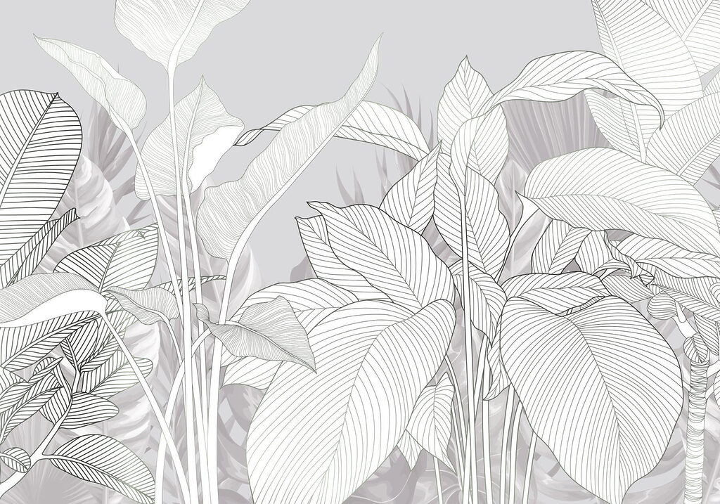 Elegante lijnen van natuur’s schoonheid Elegante lijnen van natuur’s schoonheid