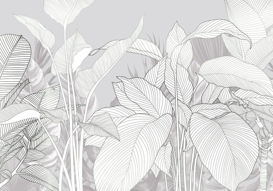 Elegante lijnen van natuur’s schoonheid Elegante lijnen van natuur’s schoonheid