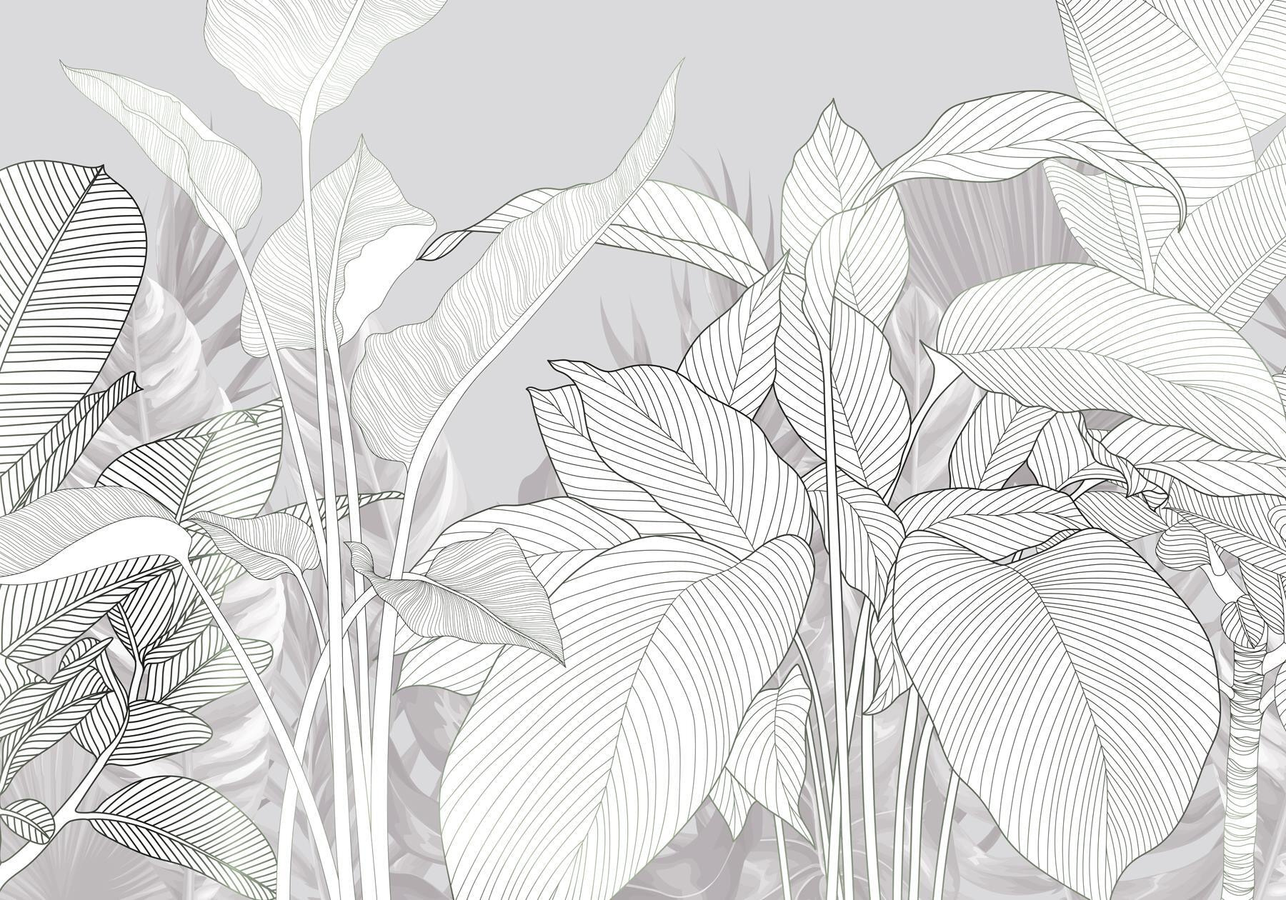 Elegant lines of nature's beauty
