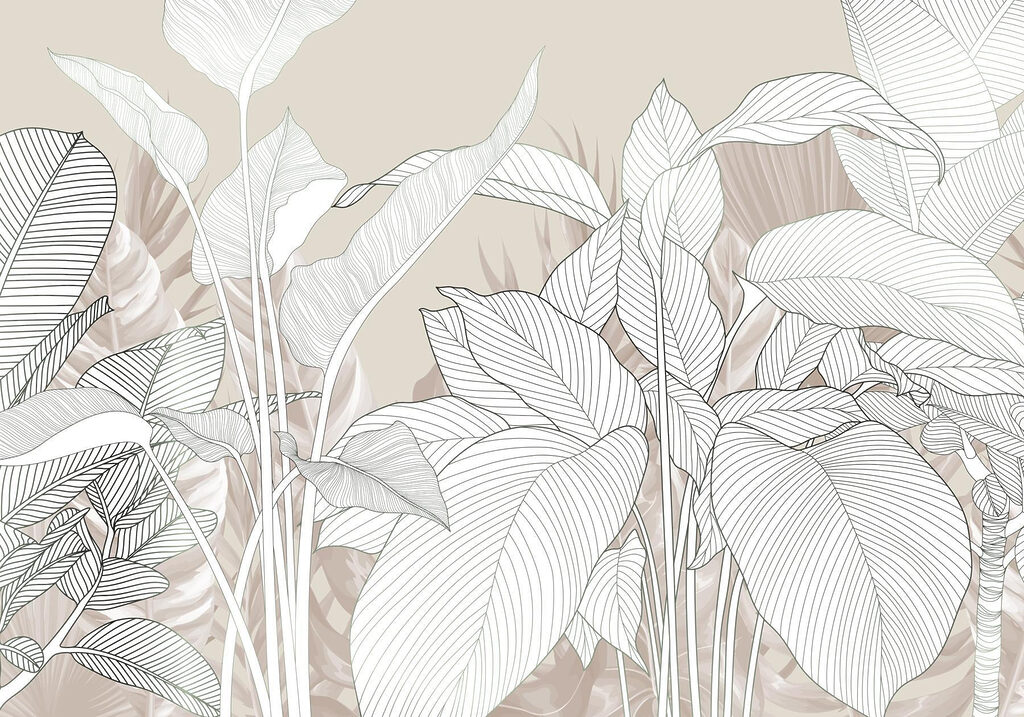 Fijne lijnen en zachte texturen Fijne lijnen en zachte texturen