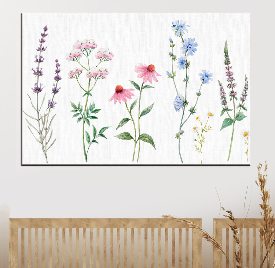 Groep bloemen op witte achtergrond