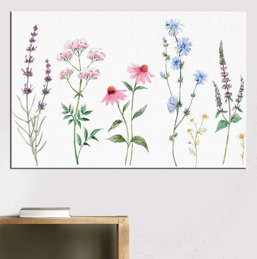 Groep bloemen op witte achtergrond