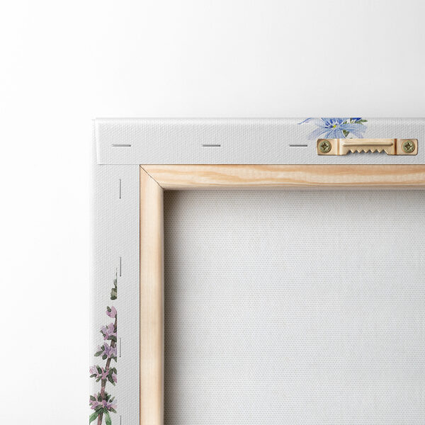 Groep bloemen op witte achtergrond Groep bloemen op witte achtergrond