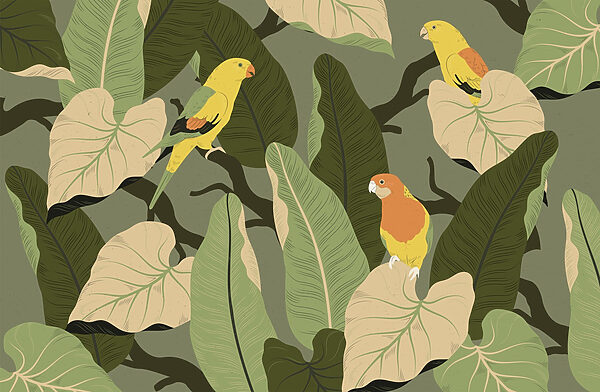 Kleurrijke vogels op een boomtak Kleurrijke vogels op een boomtak