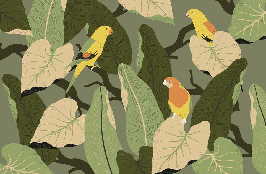 Kleurrijke vogels op een boomtak