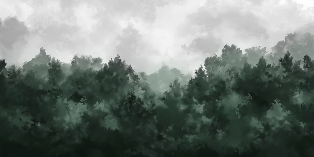 Mistig bos met bomen Mistig bos met bomen