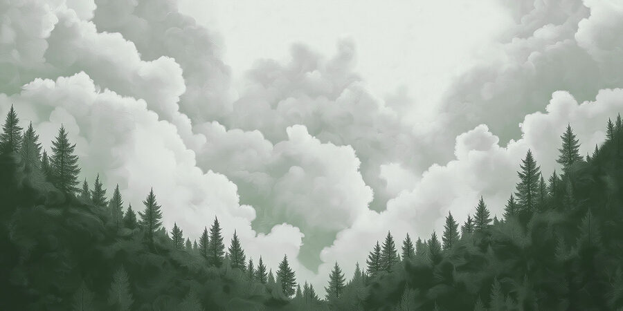 Groep bomen en wolken