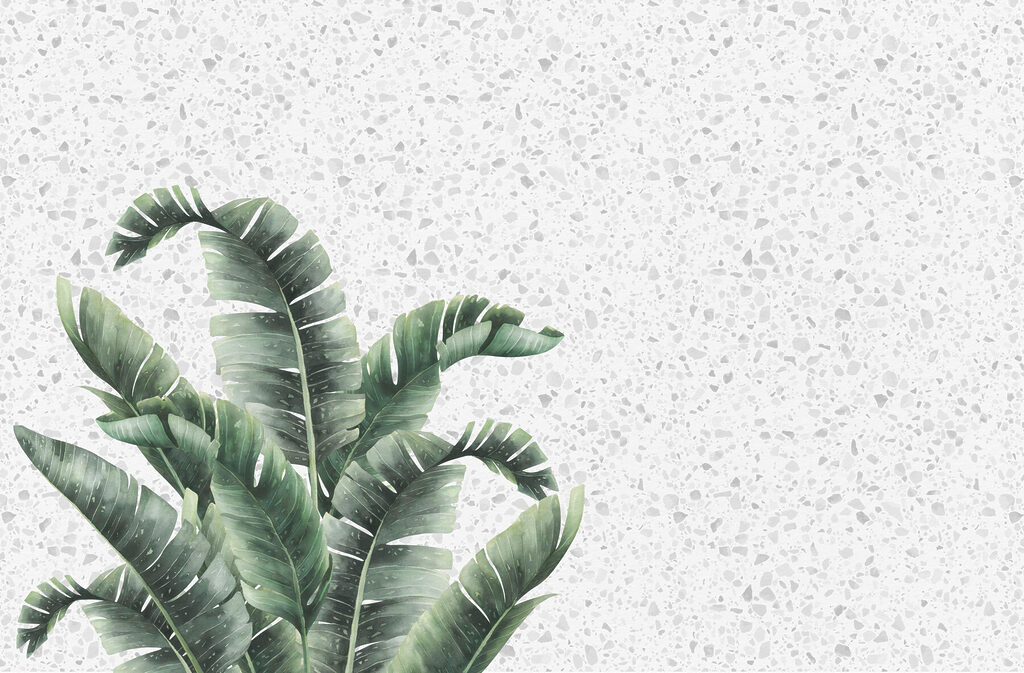 Plant met bladeren op een wit oppervlak Plant met bladeren op een wit oppervlak
