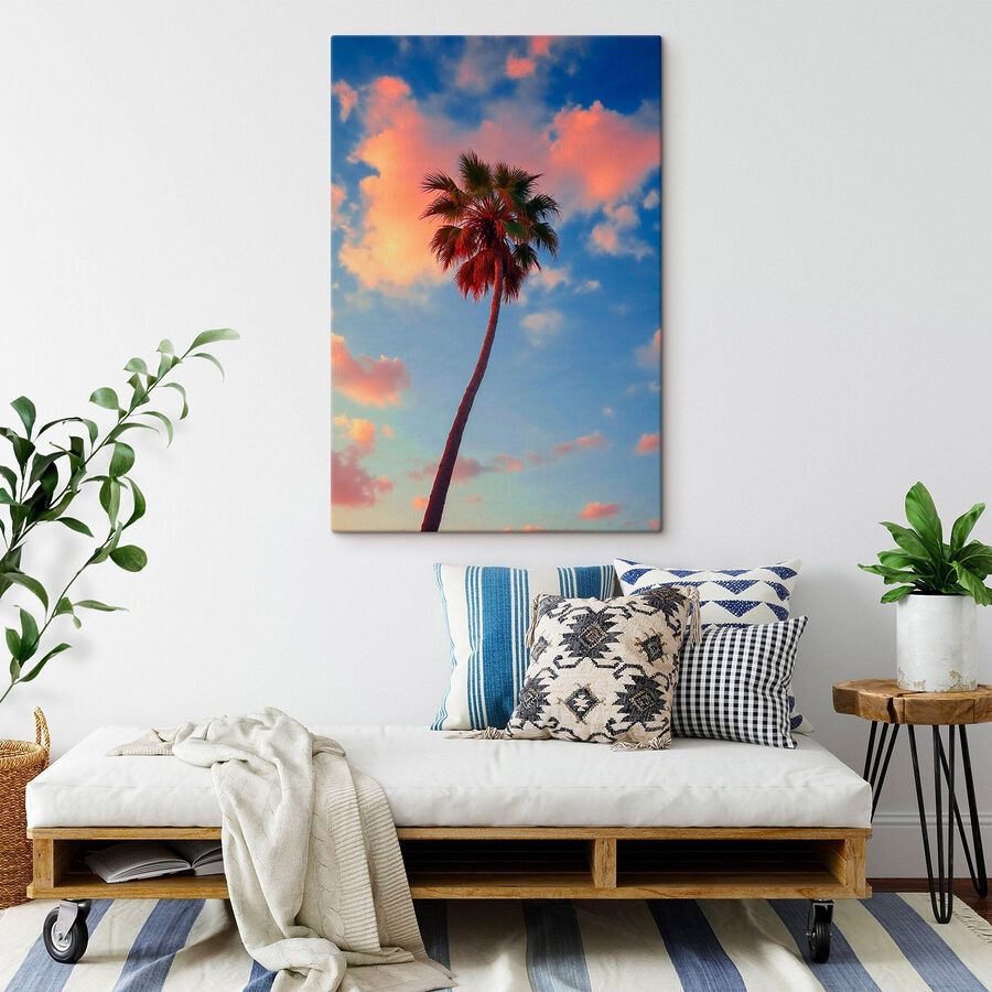 Palmboom met blauwe lucht en wolken
