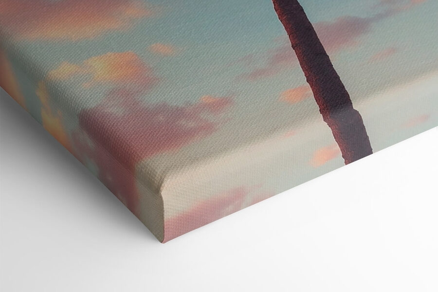 Palmboom met blauwe lucht en wolken
