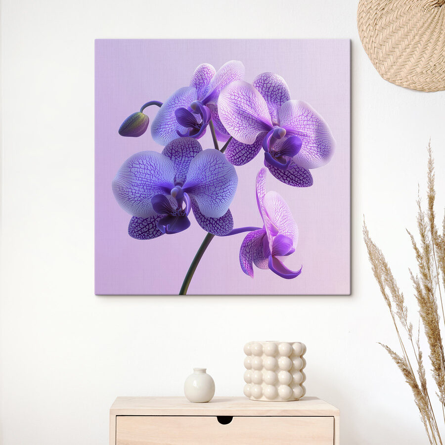 Paarse en witte orchidee bloem