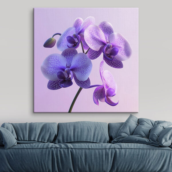 Paarse en witte orchidee bloem Paarse en witte orchidee bloem