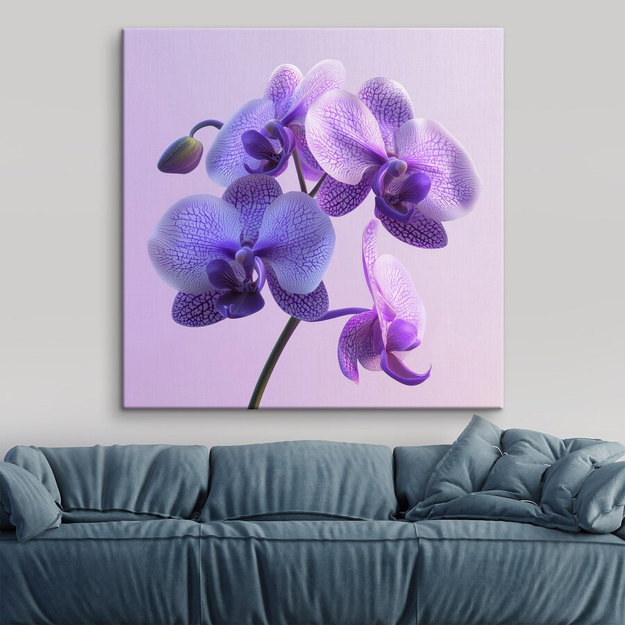 Paarse en witte orchidee bloem