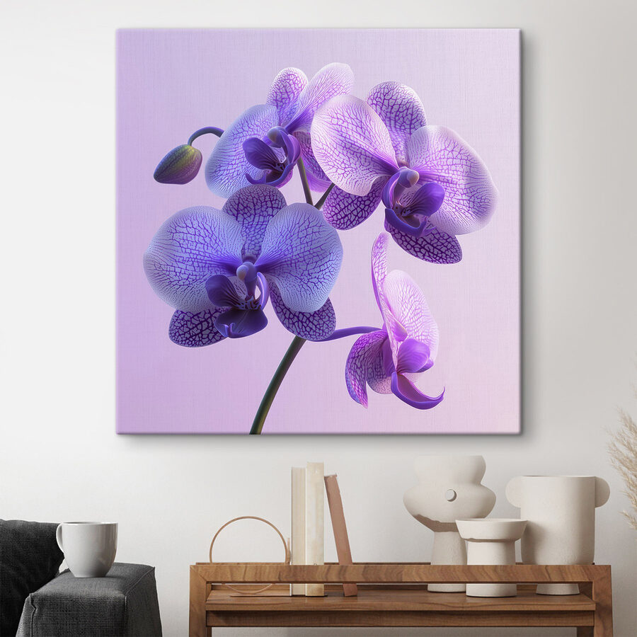 Paarse en witte orchidee bloem