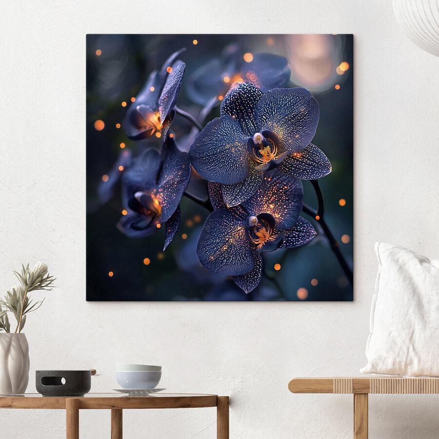 Elegante orchideeën in een zachte sfeer