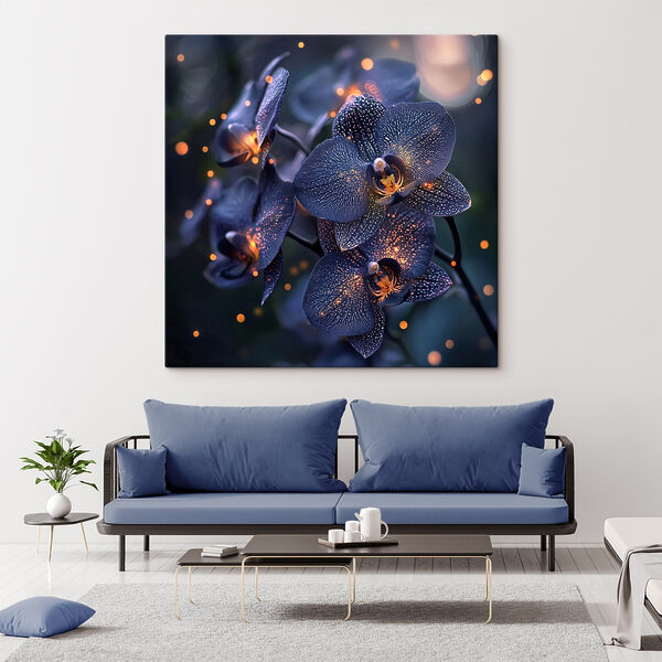 Elegante orchideeën in een zachte sfeer Elegante orchideeën in een zachte sfeer