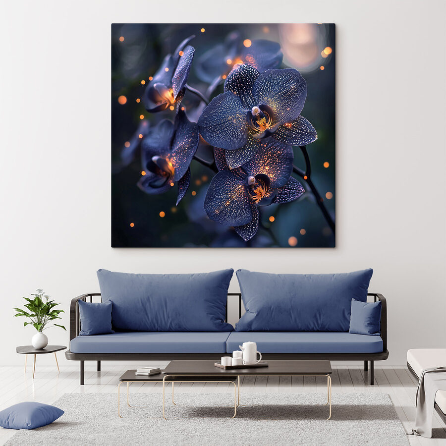 Elegante orchideeën in een zachte sfeer