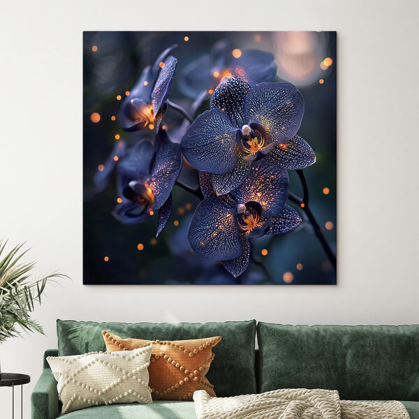 Elegante orchideeën in een zachte sfeer Elegante orchideeën in een zachte sfeer