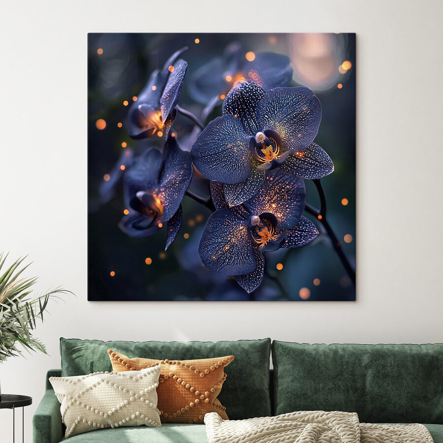 Elegante orchideeën in een zachte sfeer