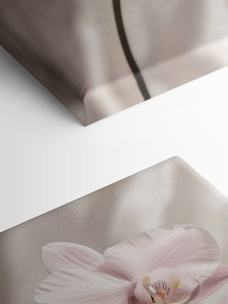 Delicate blossoms in soft hues