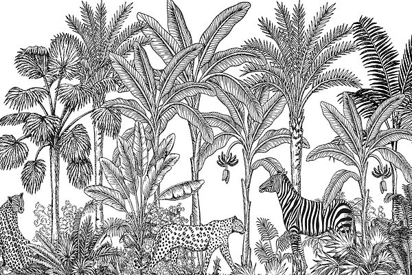 Zebra en jachtluipaard in een jungle Zebra en jachtluipaard in een jungle