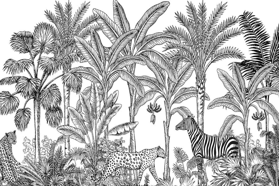 Zebra en jachtluipaard in een jungle