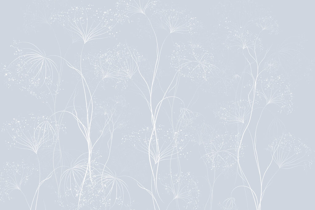 Wall murals White flowers on a blue background Wall murals White flowers on a blue background