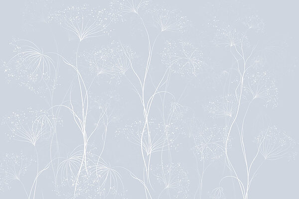 Wall murals White flowers on a blue background Wall murals White flowers on a blue background