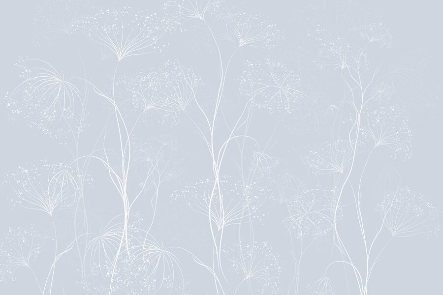 Wall murals White flowers on a blue background Wall murals White flowers on a blue background