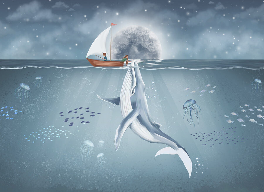 Walvis zwemmend in het water