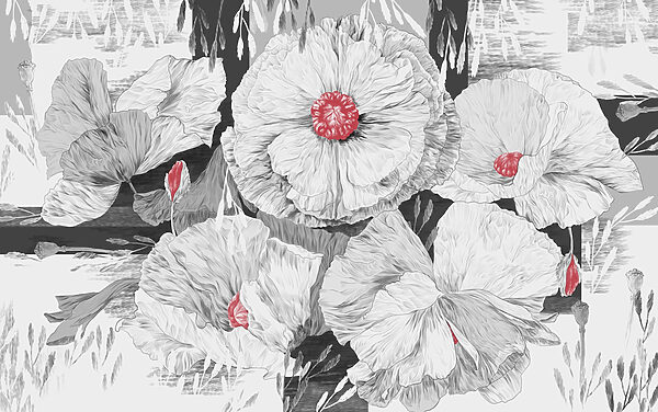 Groep witte bloemen met rood hart Groep witte bloemen met rood hart
