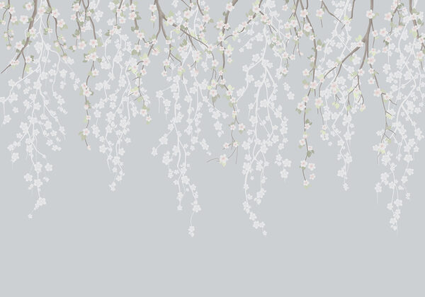Witte bloemen op een boomtak Witte bloemen op een boomtak