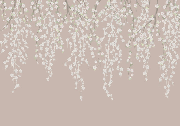 Wall murals White flowers on a tree branch Wall murals White flowers on a tree branch