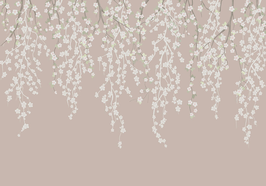 Wall murals White flowers on a tree branch Wall murals White flowers on a tree branch