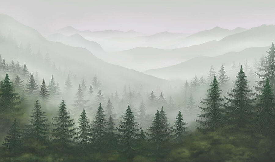 Mistig landschap met bomen en bergen
