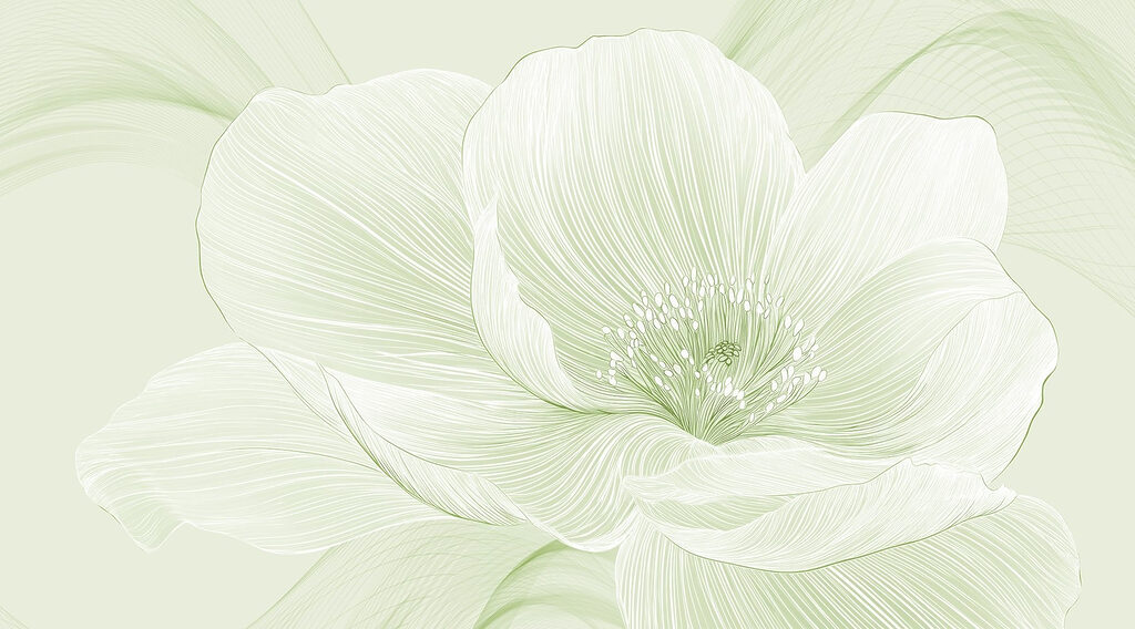 Delicate lijnen van de schoonheid van de natuur Delicate lijnen van de schoonheid van de natuur