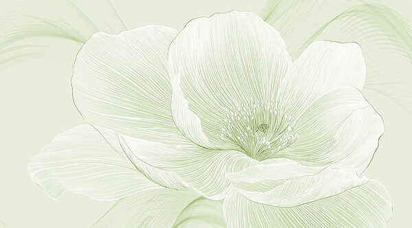 Delicate lijnen van de schoonheid van de natuur Delicate lijnen van de schoonheid van de natuur