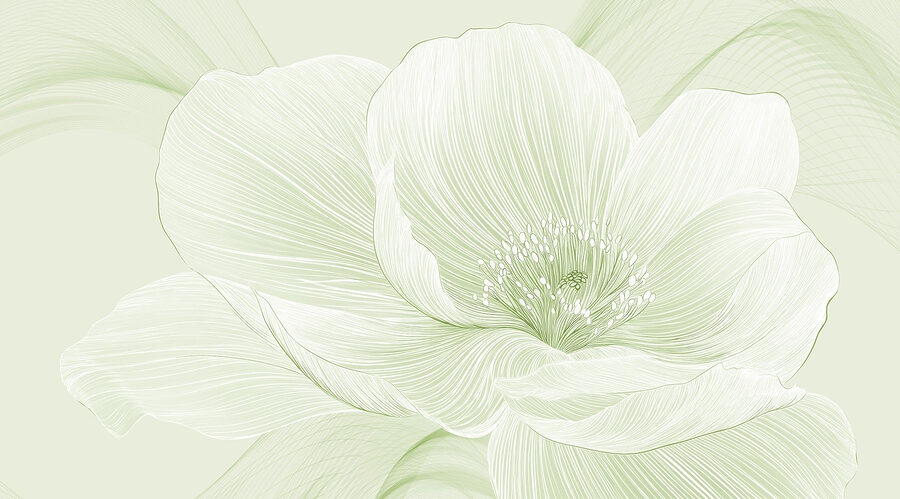Delicate lijnen van de schoonheid van de natuur