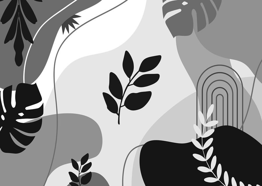 Zwart-wit afbeelding van bladeren en planten